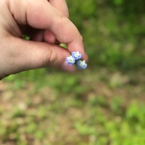 Meet your Posher, Blaze